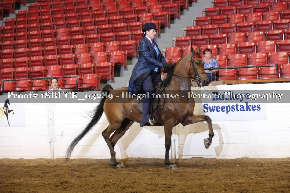 Proof 18BUCK_03289