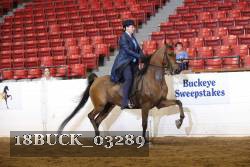 18BUCK_03289 proof