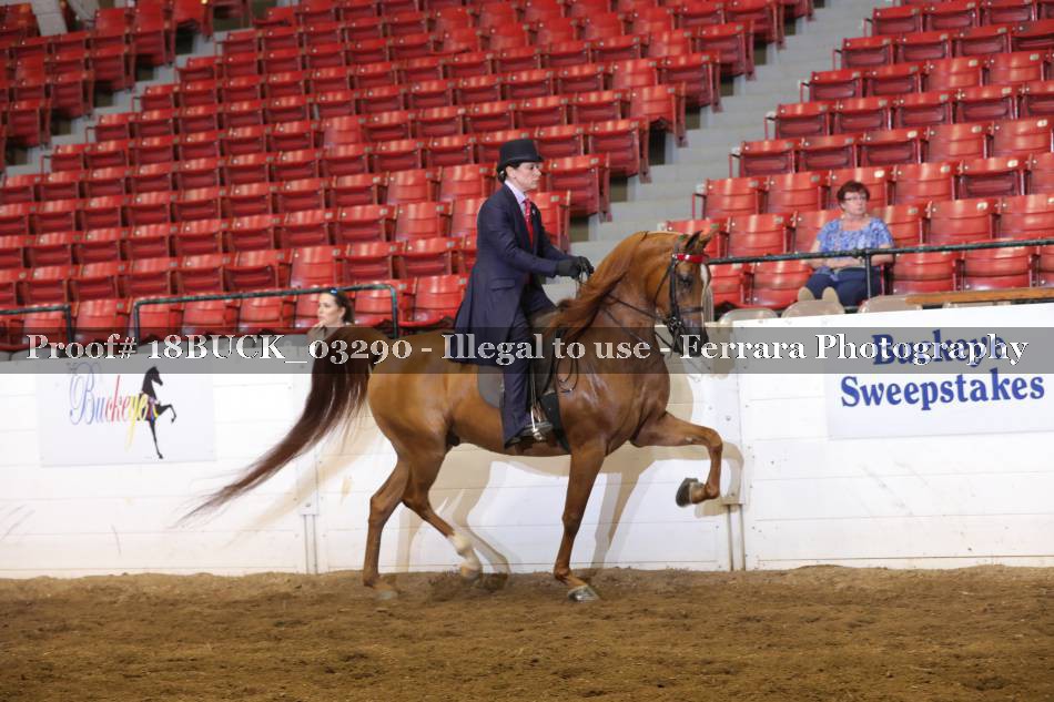 Proof 18BUCK_03290