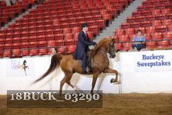 18BUCK_03290 proof