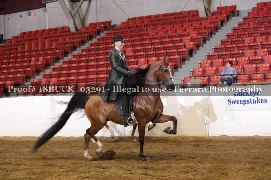 Proof 18BUCK_03291