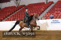 18BUCK_03291 proof