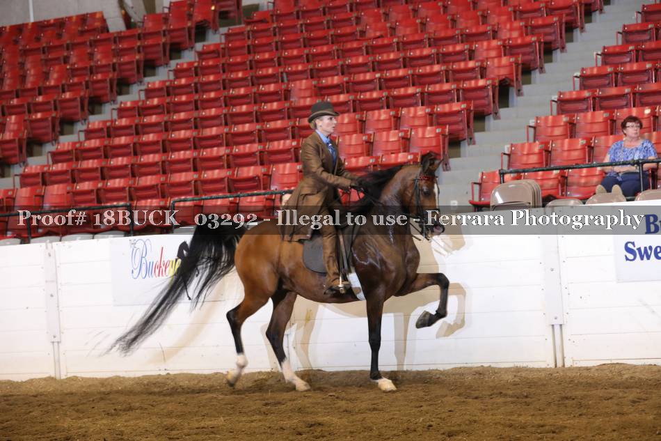 Proof 18BUCK_03292