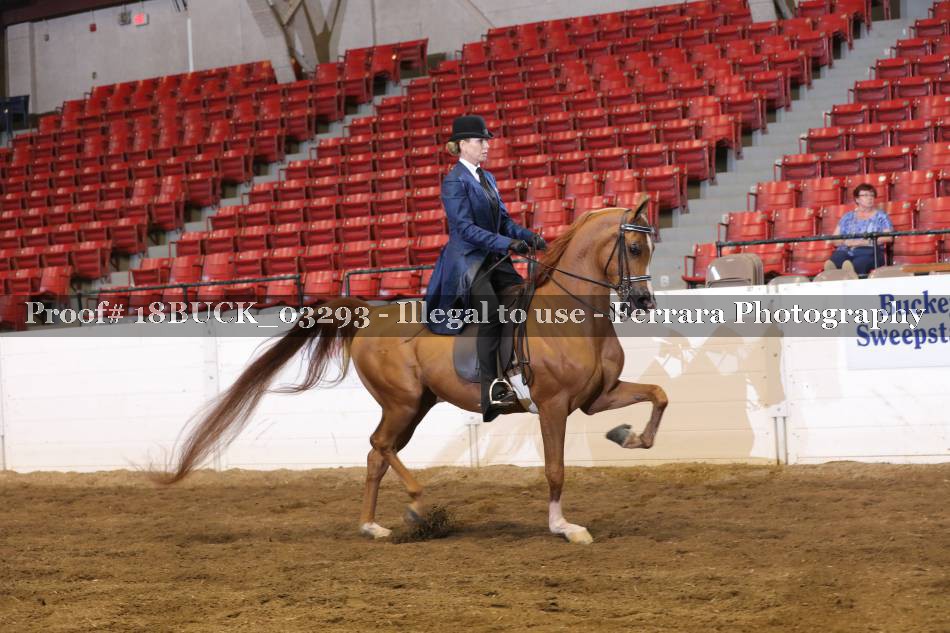 Proof 18BUCK_03293