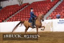 18BUCK_03293 proof