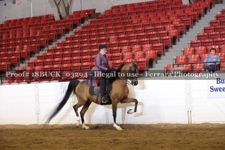 Proof 18BUCK_03294