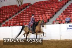 18BUCK_03294 proof