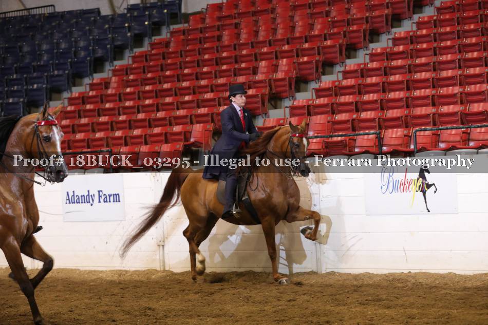 Proof 18BUCK_03295