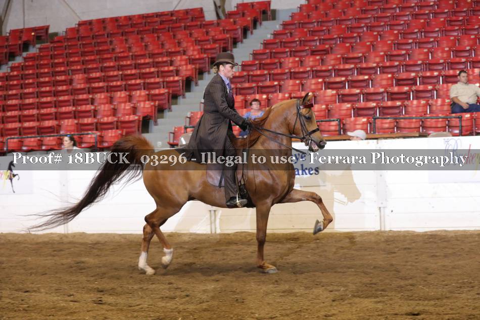 Proof 18BUCK_03296