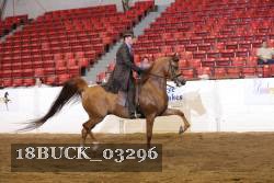18BUCK_03296 proof
