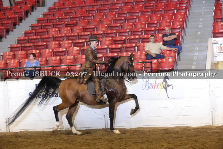 Proof 18BUCK_03297