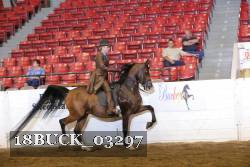 18BUCK_03297 proof