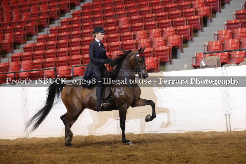 Proof 18BUCK_03298