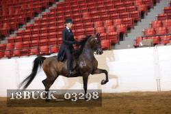 18BUCK_03298 proof
