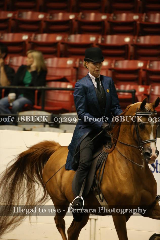 Proof 18BUCK_03299