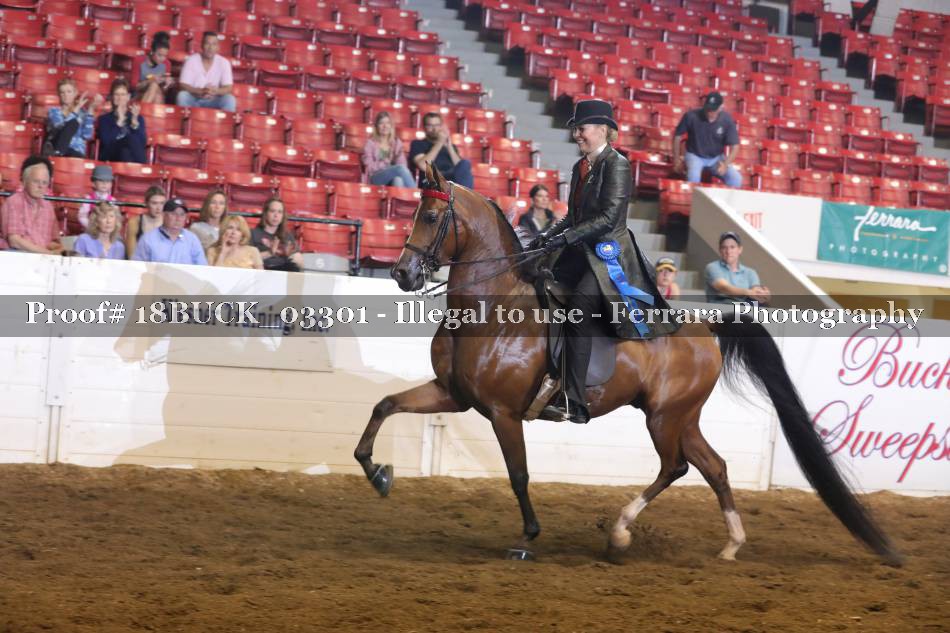 Proof 18BUCK_03301