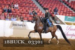 18BUCK_03301 proof