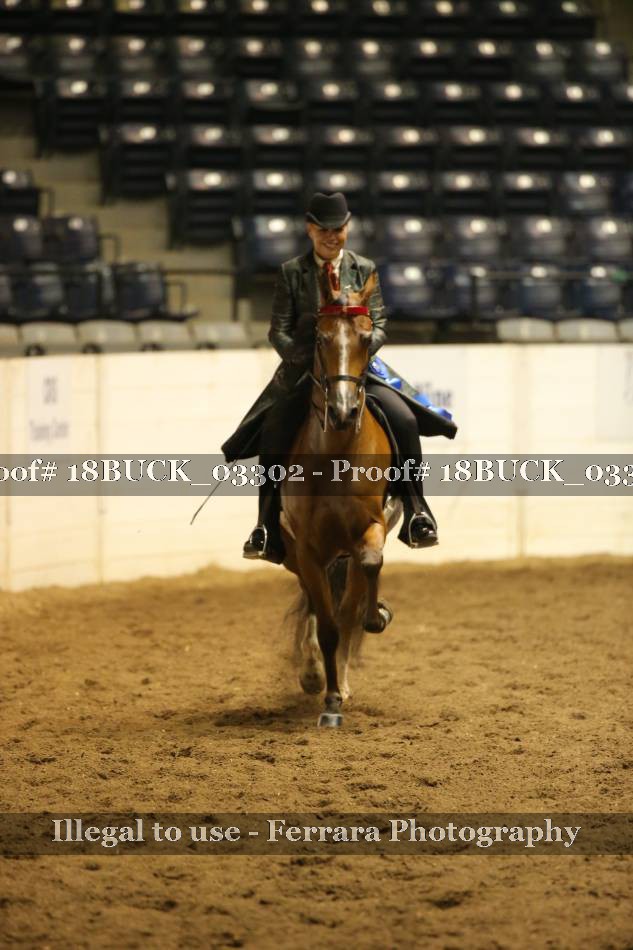 Proof 18BUCK_03302