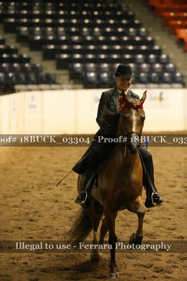 Proof 18BUCK_03304