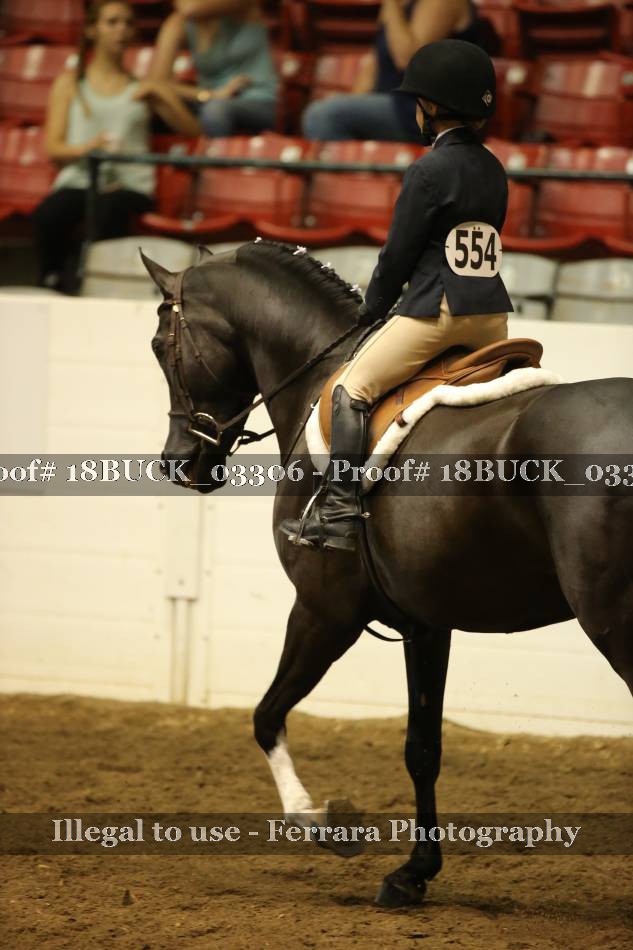 Proof 18BUCK_03306