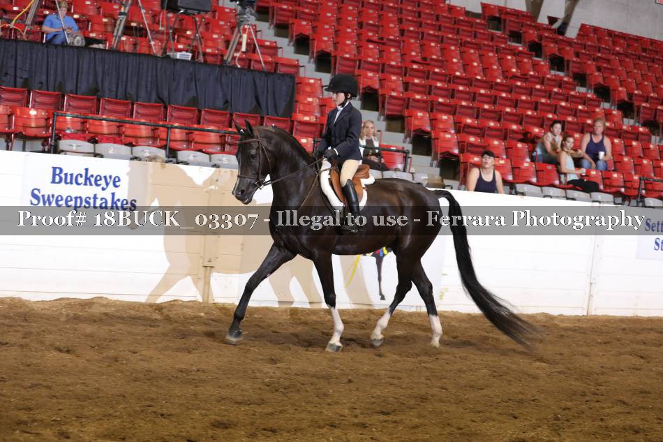 Proof 18BUCK_03307