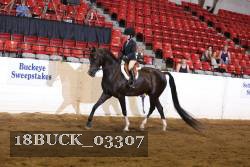 18BUCK_03307 proof