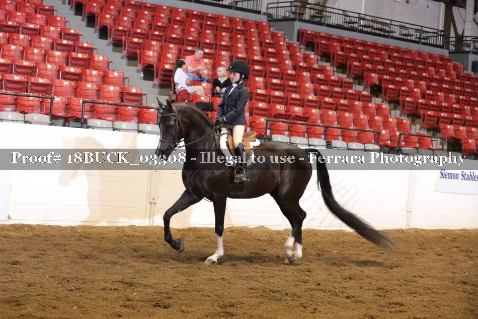 Proof 18BUCK_03308