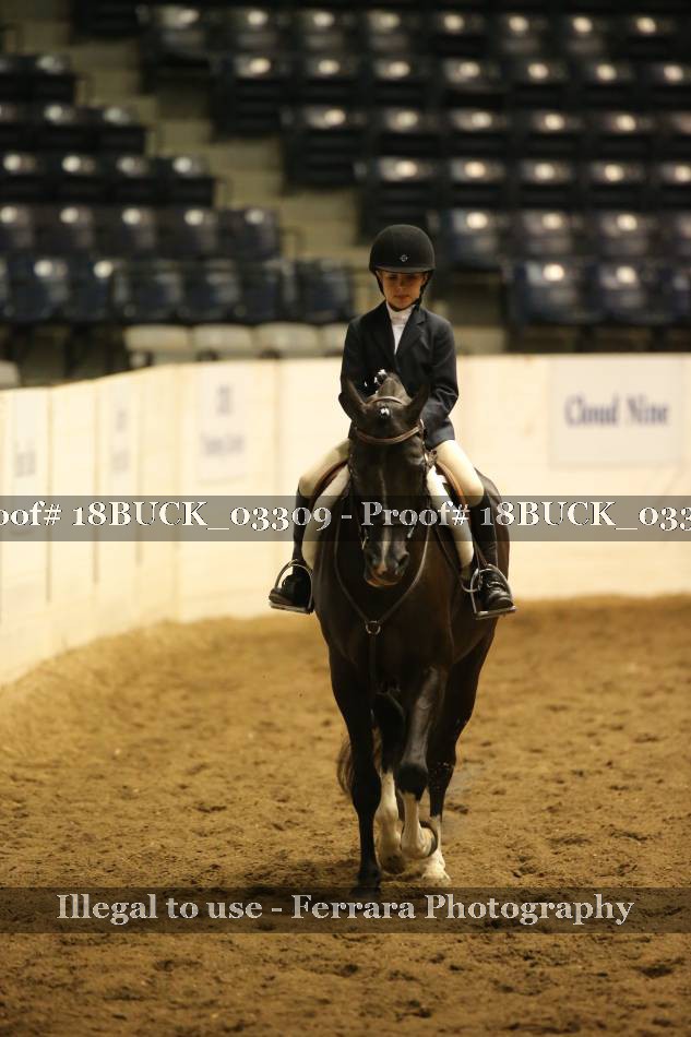 Proof 18BUCK_03309