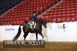 18BUCK_03312 proof