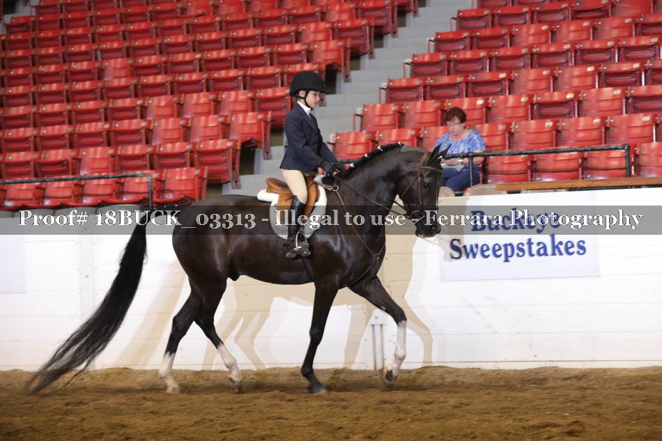 Proof 18BUCK_03313