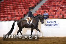 18BUCK_03313 proof