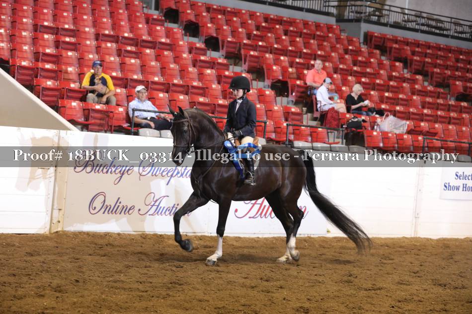 Proof 18BUCK_03314