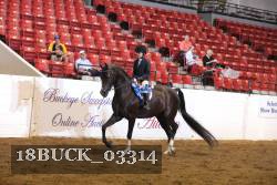 18BUCK_03314 proof