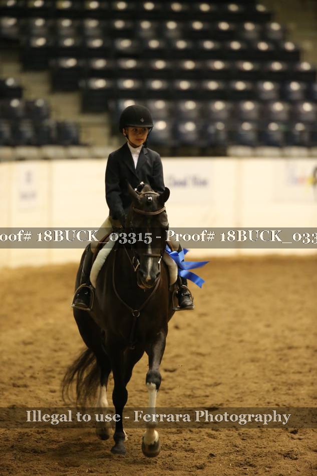 Proof 18BUCK_03315