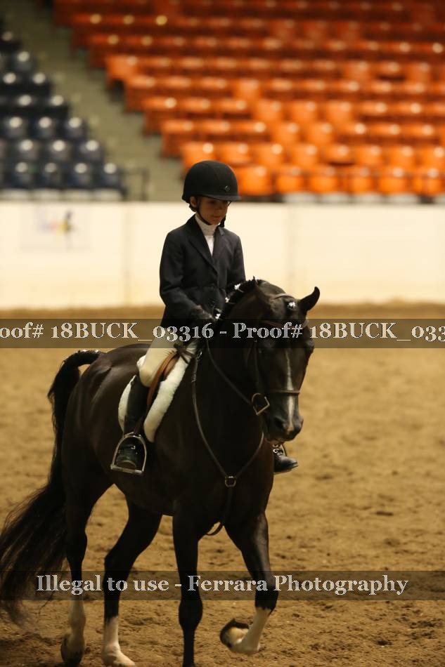 Proof 18BUCK_03316