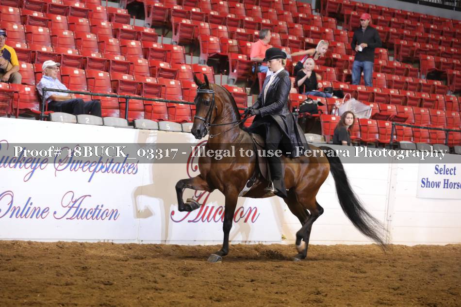 Proof 18BUCK_03317