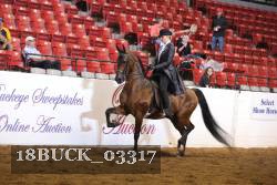18BUCK_03317 proof