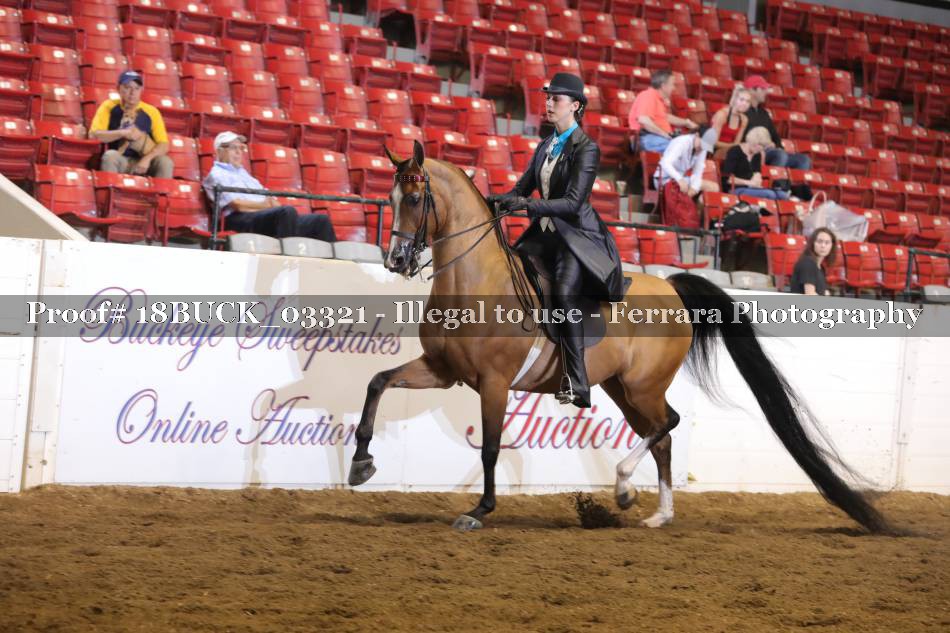 Proof 18BUCK_03321