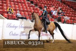 18BUCK_03321 proof