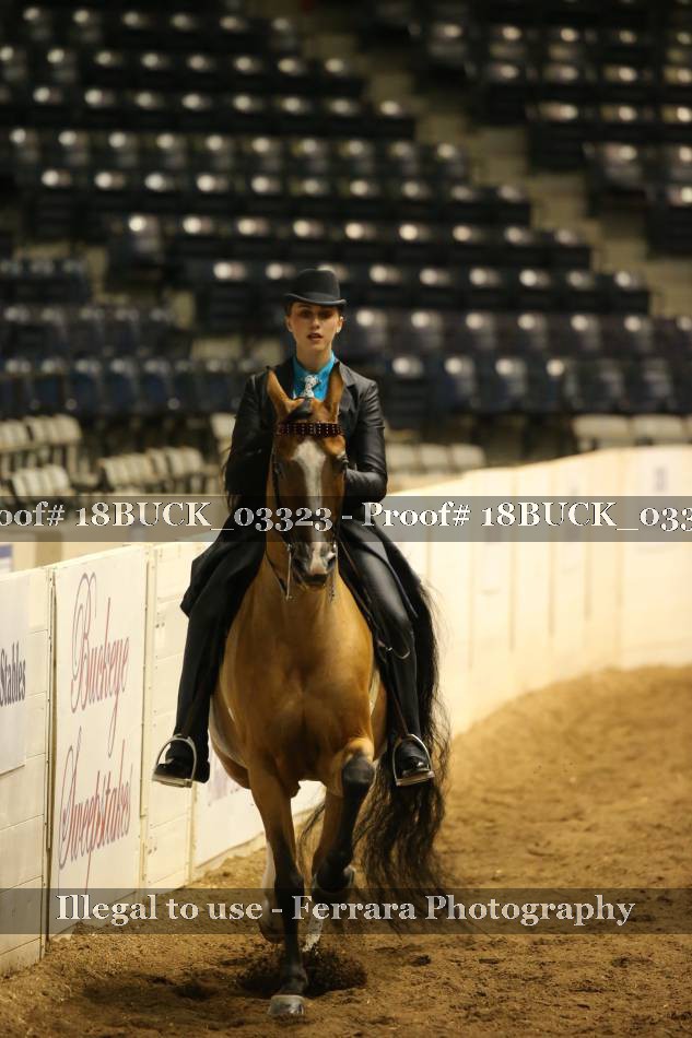 Proof 18BUCK_03323