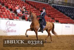 18BUCK_03324 proof