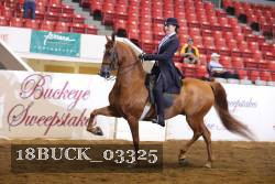 18BUCK_03325 proof