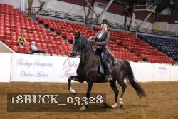 18BUCK_03328 proof