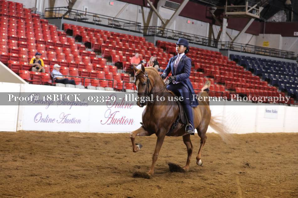Proof 18BUCK_03329