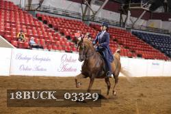 18BUCK_03329 proof