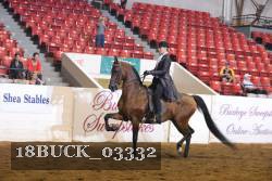 18BUCK_03332 proof