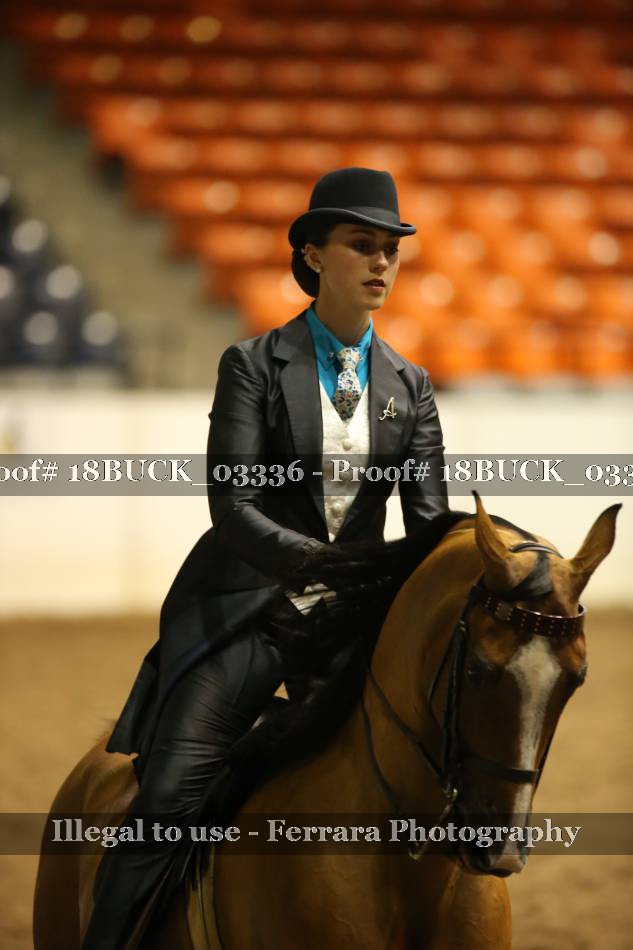 Proof 18BUCK_03336