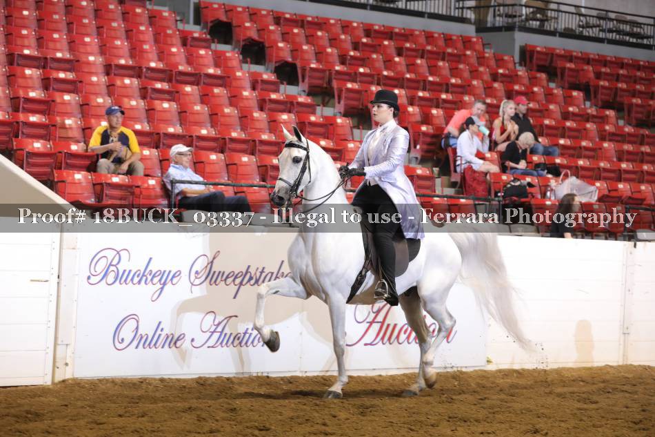 Proof 18BUCK_03337