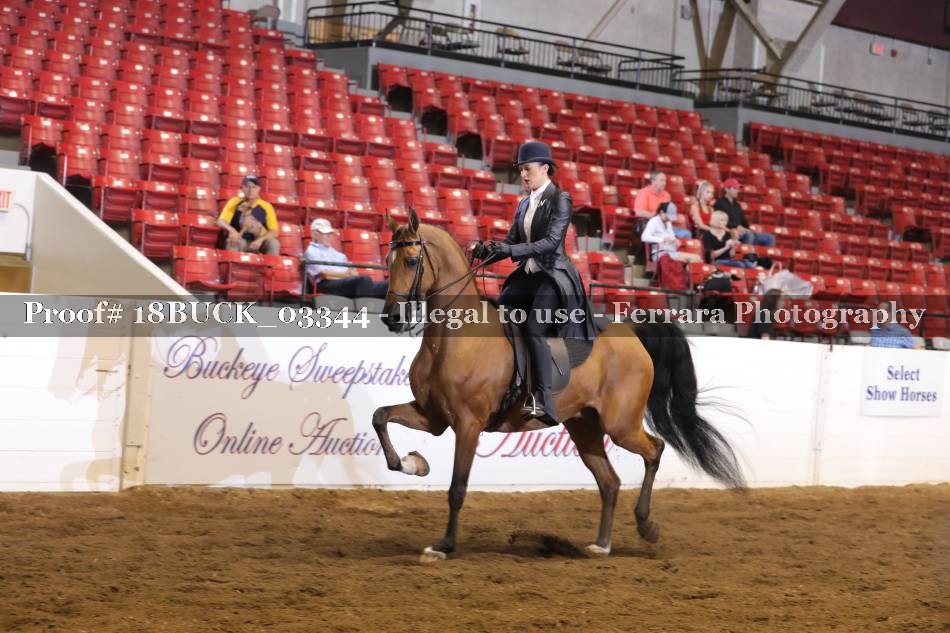 Proof 18BUCK_03344