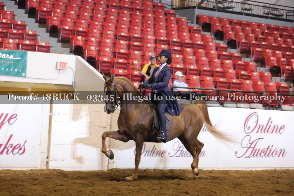 Proof 18BUCK_03345